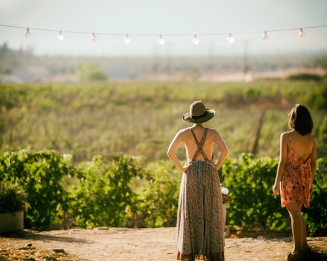 two-women-standing-near-green-plants